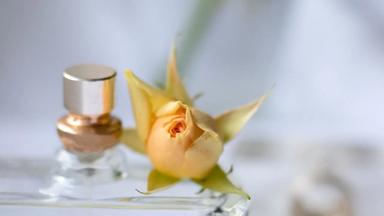 Perfume Concentration Explained: Parfum, EDP, EDT and Cologne